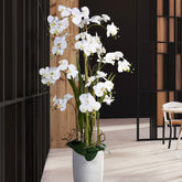 Real Touch hatású fehér orchidea dekoráció modern enteriőrben